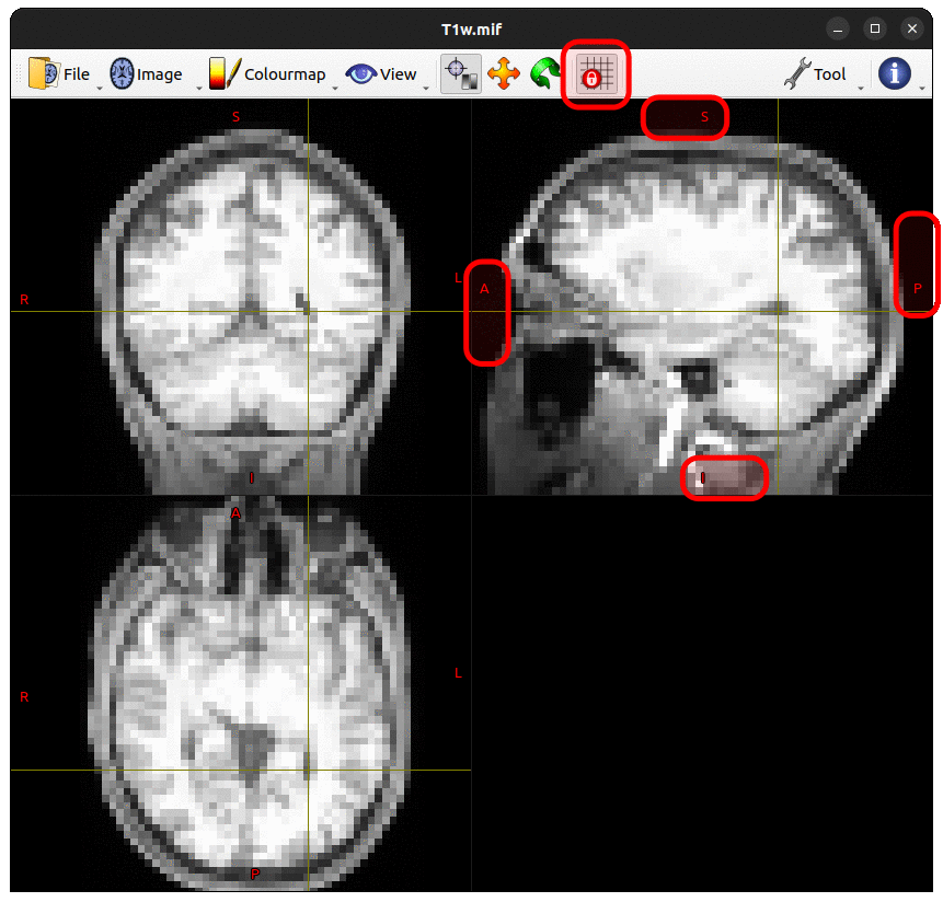 MRView with Lock To Image Axes On and highlighted indicators of camera movement